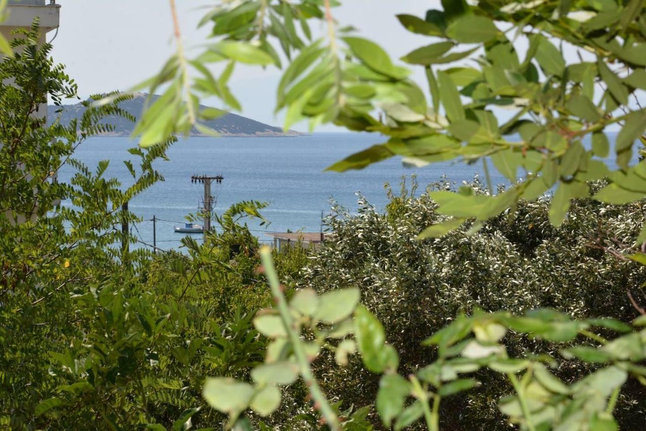 Traditional Summer House In Marmari Marmari  Exterior photo